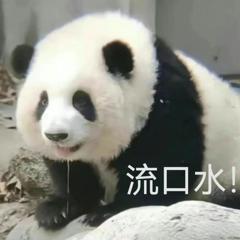 王曦雨首进法网强